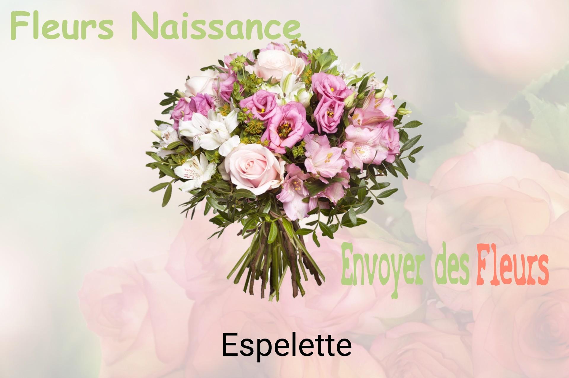Bouquet de fleurs de naissance livré à Espelette