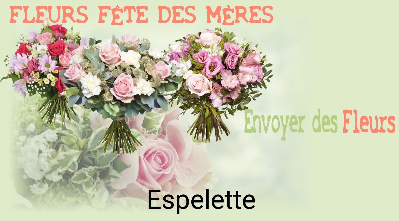 Bouquet de Fête des Mères livré à Espelette